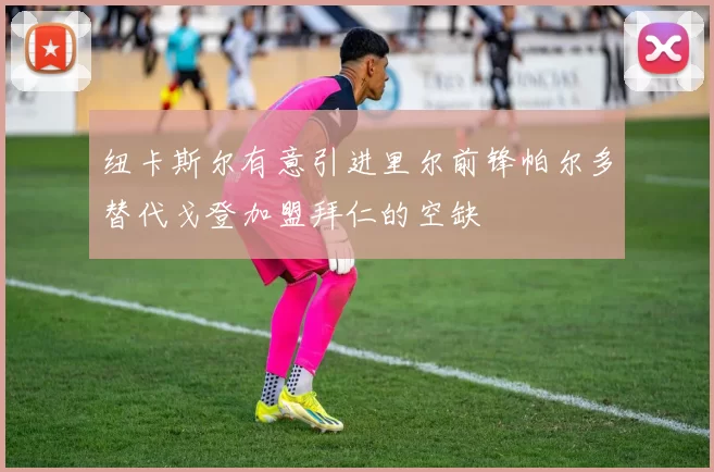 纽卡斯尔有意引进里尔前锋帕尔多替代戈登加盟拜仁的空缺